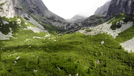 aerial: revealing two foggy mountains near pine forest