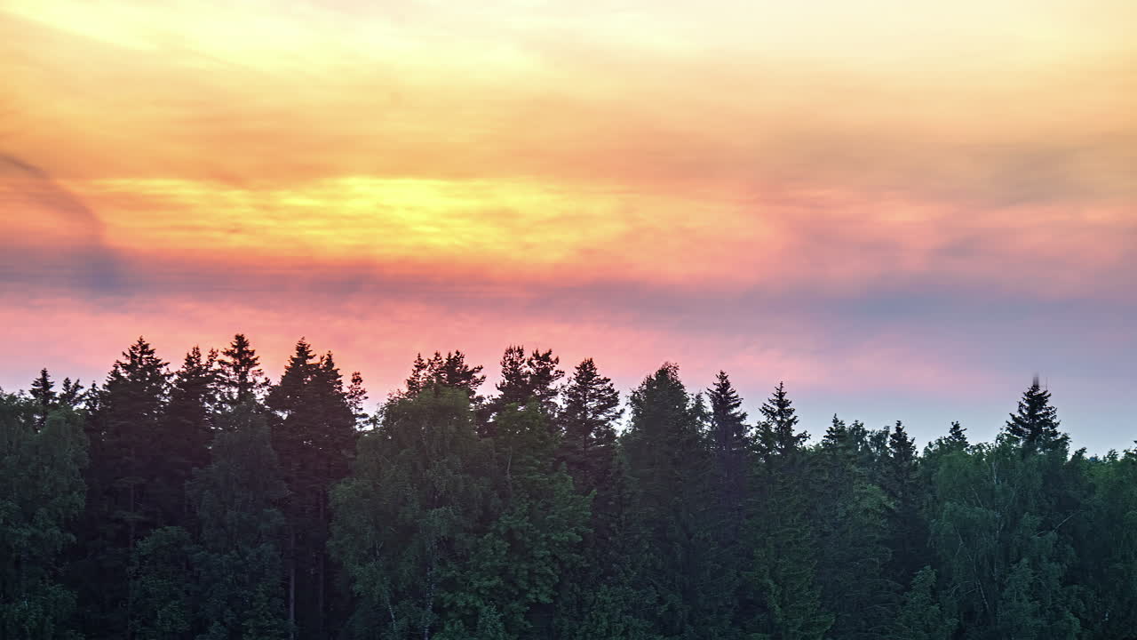 vista impresionante del cielo colorido sobre el bosque de pinos