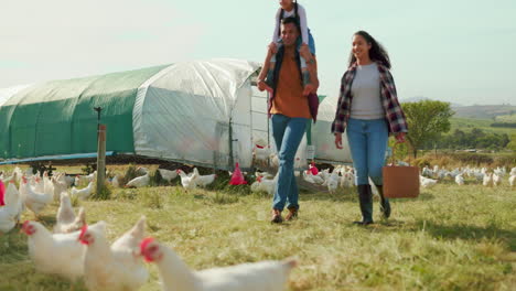 chicken farm, family and mother