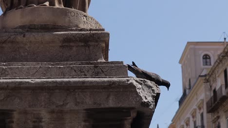 Una-Paloma-Alimentándose-En-La-Pared-De-Piedra-De-La-Catedral-De-Palermo,-Italia.