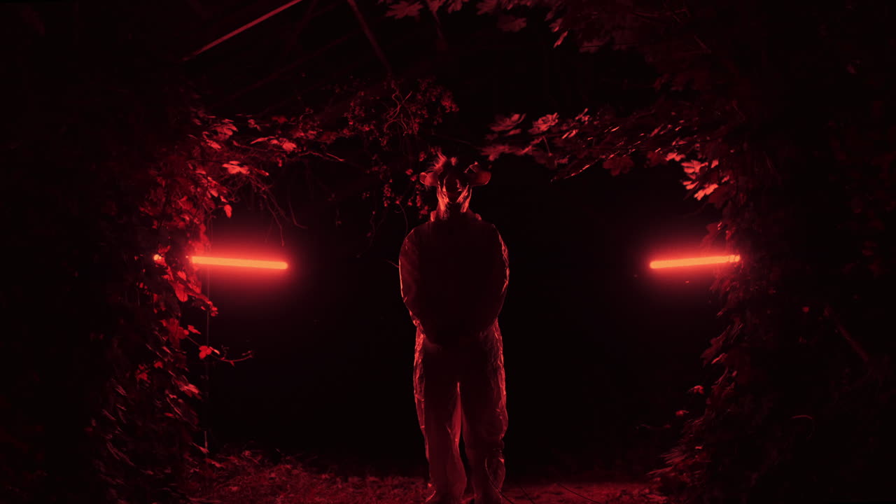 Mysterious Figure in Red Light