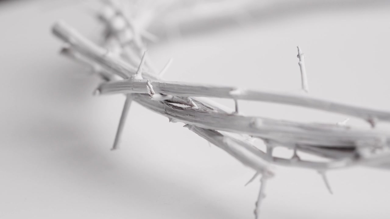 Close-up of a White Crown of Thorns on a White Background