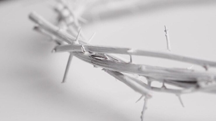Close-up of a White Crown of Thorns on a White Background