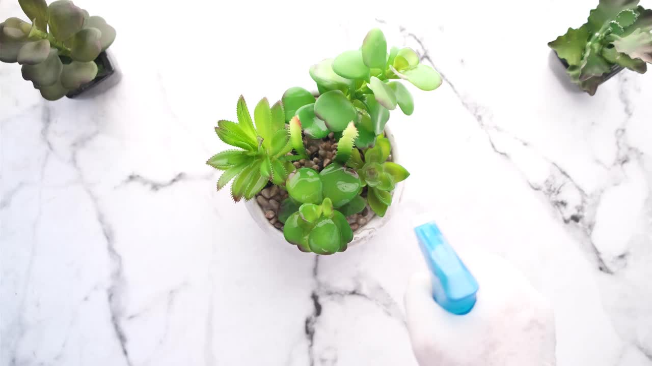 대리석 표면에 수박을 뿌리는 것