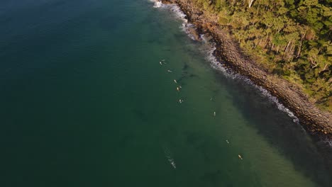 surfers at sunshine coast near the seashore of noosa headland in australia