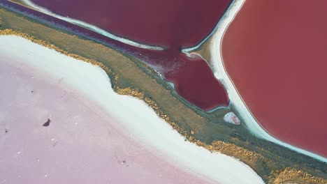 top down aerial view of pink pond patterns and a barriers, great salt lake, utah usa