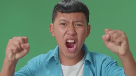 Cheerful Young Asian Boy Celebrating While Standing On Green Screen In The Studio
