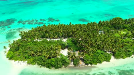 palm trees forest and lush vegetation of idyllic tropical island surrounded by beautiful turquoise lagoon with coral reefs and white sandy sea bottom in philippines