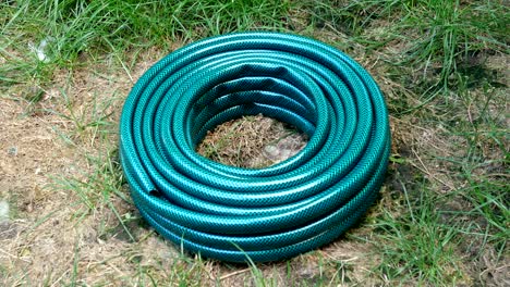 new green rubber hose, which lies in the backyard.