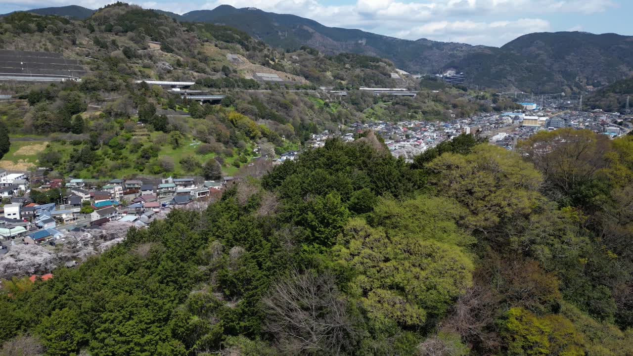 Stunning slow motion drone reveal over rural Japanese landscape town with cherry blossoms