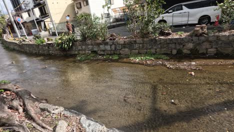 a serene stream flows through an urban area