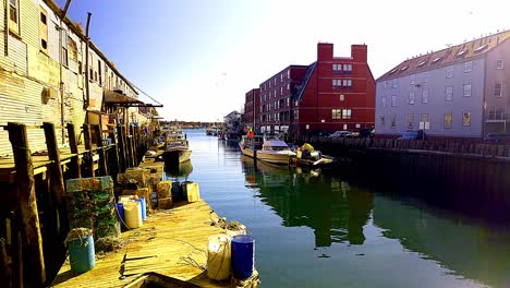 scenic view of a harbor with fishing boats and buildings