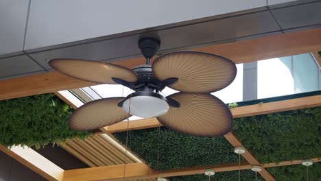 closeup of a brown ceiling fan with light