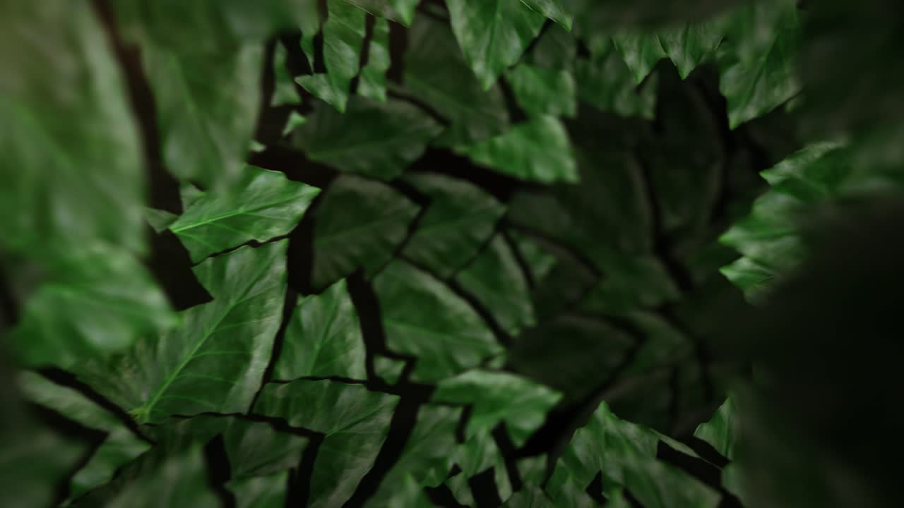 Organic Leaf Tunnel - Seamless Loop