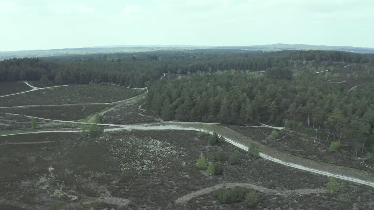 Chalky white hiking trail pathway aerial wide orbit left view across Guilford nature greenery