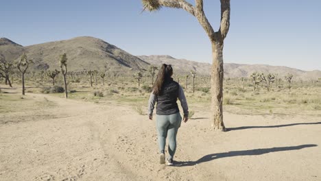 chica fotografiando el parque nacional joshua tree desert california con una cámara sony a1 - alejarse plano general