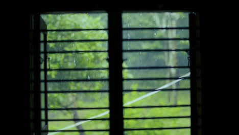 watching storm through window. static, soft focus