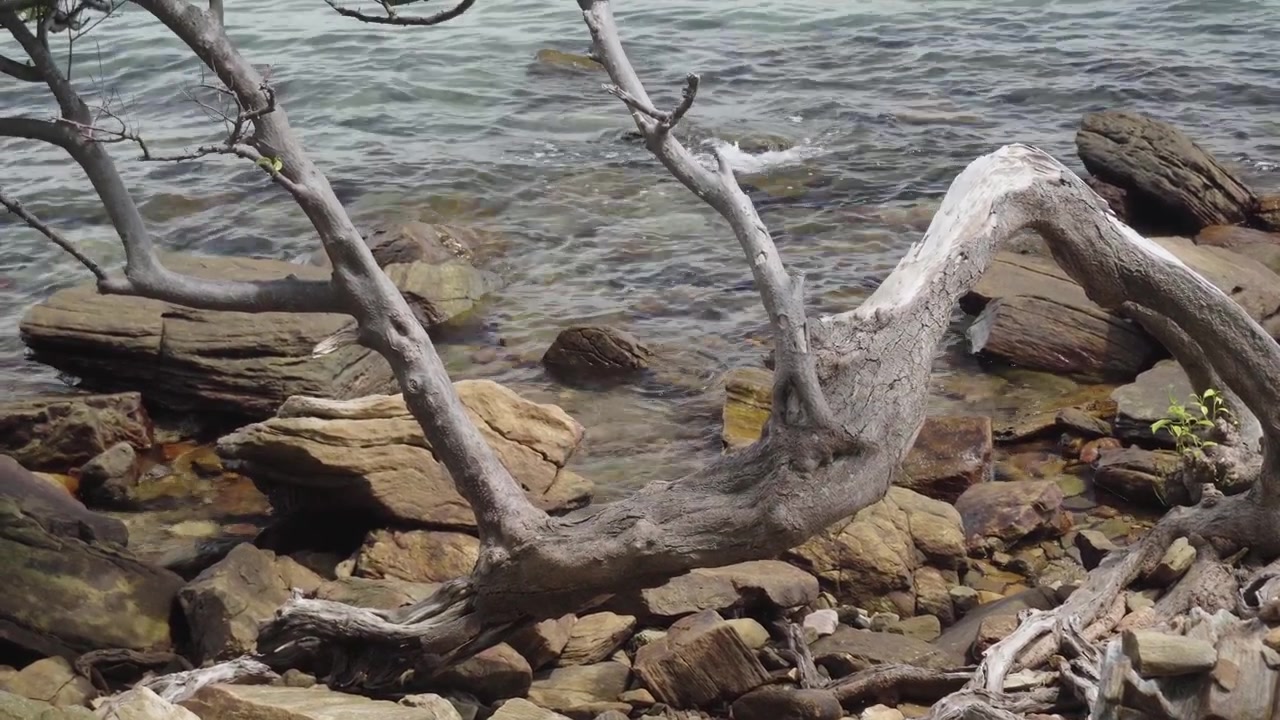 Pedaço de madeira flutuante desgastada repousando sobre rochas costeiras irregulares, enquanto ondas suaves do oceano batem na costa no Parque Nacional Khao Laem Ya Mu Ko Samet, Tailândia