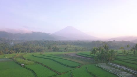 Vista-Rural-Del-Paisaje-Tropical-Con-Vista-De-Hermosos-Campos-De-Arroz-Con-Montañas-Gigantescas-En-El-Fondo-Durante-Los-Rayos-Del-Sol-En-La-Mañana