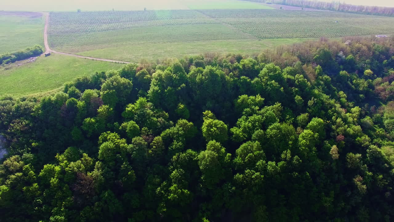 Liadova Rock monastery in Ukraine. Amazing view of the mount with a church in the middle. Aerial perspective.