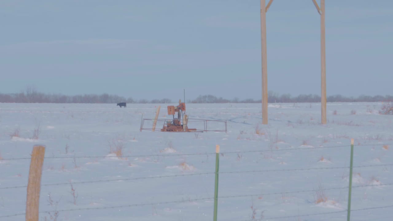 pumpjack with cow in background