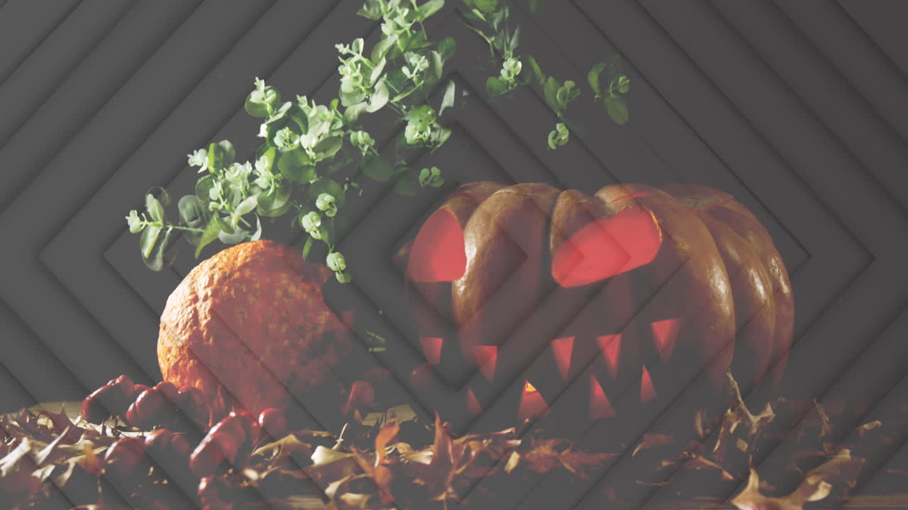 animación de líneas de diamante sobre una calabaza de halloween brillante, con hojas de planta y de otoño, en negro