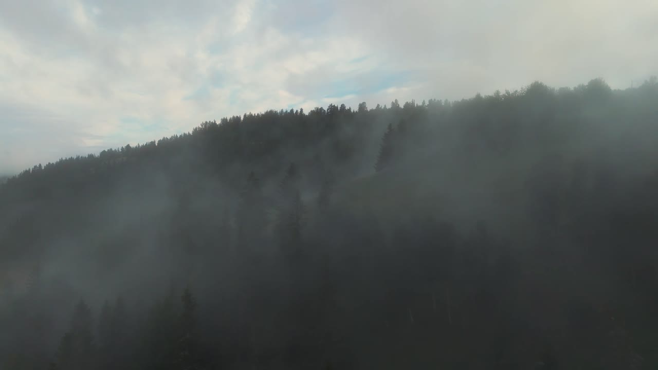 aerial de un bosque cubierto de niebla con una línea de árboles distante y un cielo nublado, evocando una sensación de misterio y tranquilidad en el paisaje natural