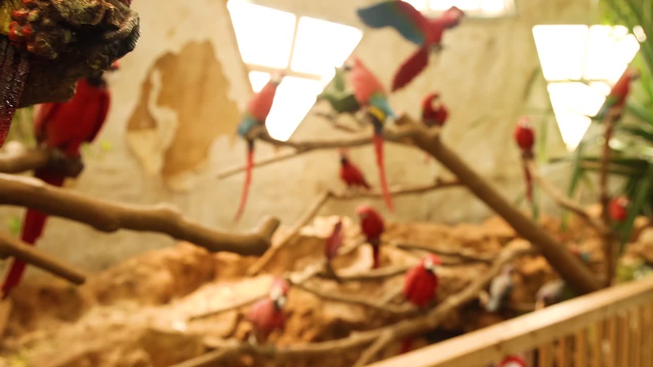 활기찬 무새 들 이 울창 한 울타리 에 앉아 있다