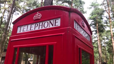 panning around a traditional red british phone box in the middle of a forest | cumbria, scotland | hd at 30 fps