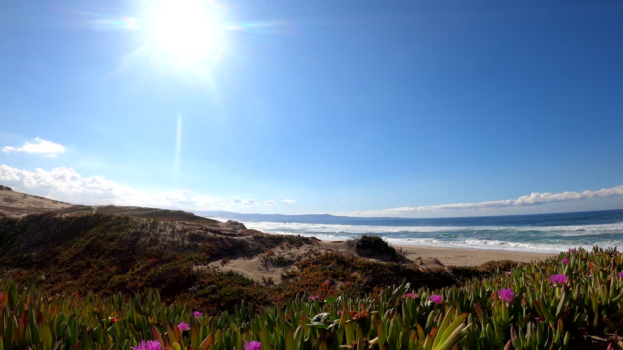 paisaje de playa soleado, brillante y colorido en la parte superior de las dunas de arena en la bahía de monterey, california