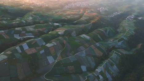 aerial birds eye show of vegetable plantaiton fields on mount sumbing hill in indonesia