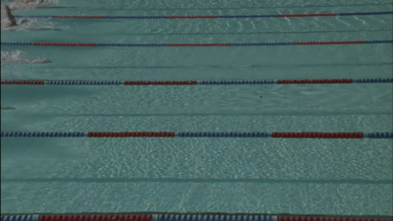 Swimmers race across a pool 1