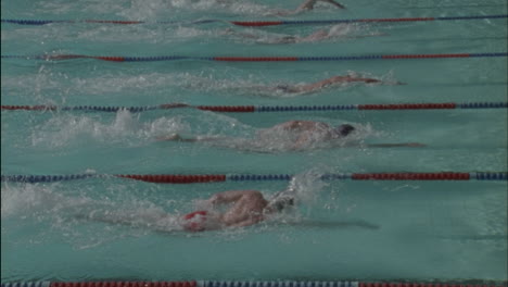 swimmers race across a pool 1