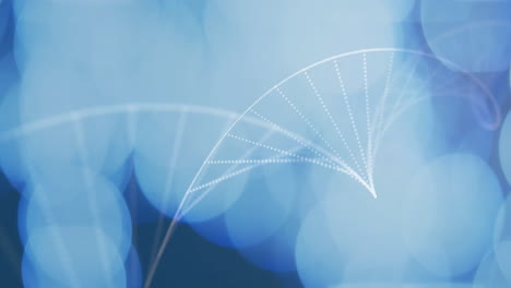 dna strand and binary coding, scientific data processing