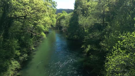 river lerez stream through wild forest trees near pedre in cerdedo-cotobade, pontevedra, galicia, spain. aerial drone shot