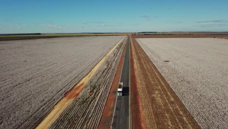 dron descendente disparó sobre una carretera rural rodeada de campos de algodón