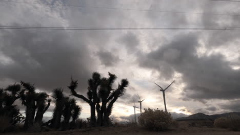 clouds rolling over joshua trees and windmills in the mojave desert, california landscape on a cloudy day - time lapse