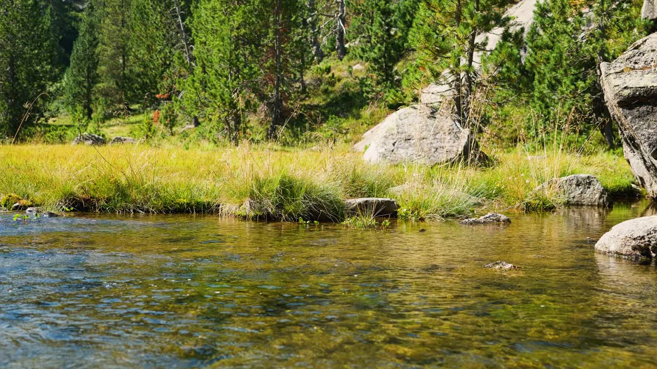 A serene mountain stream flows gently through lush grass and rocks under clear skies