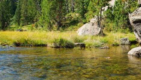 a serene mountain stream flows gently through lush grass and rocks under clear skies