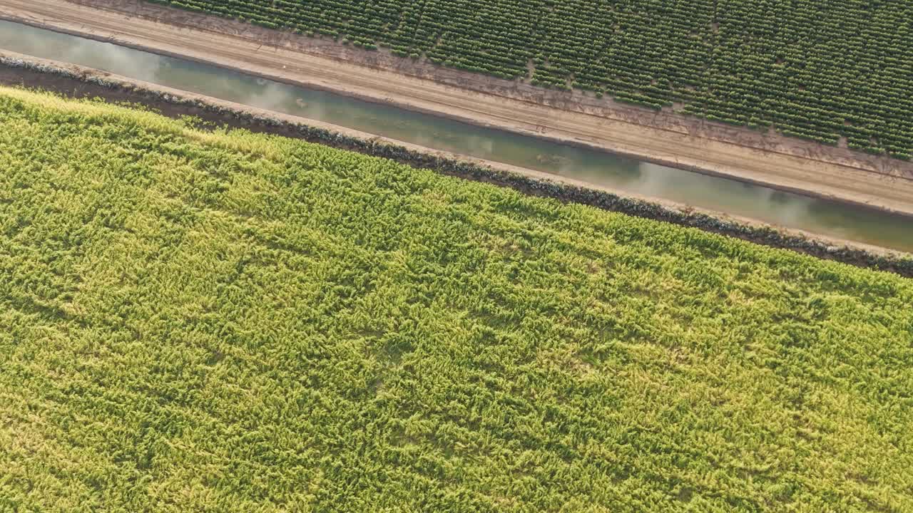 농작물과 관개 통로의 공중 촬영