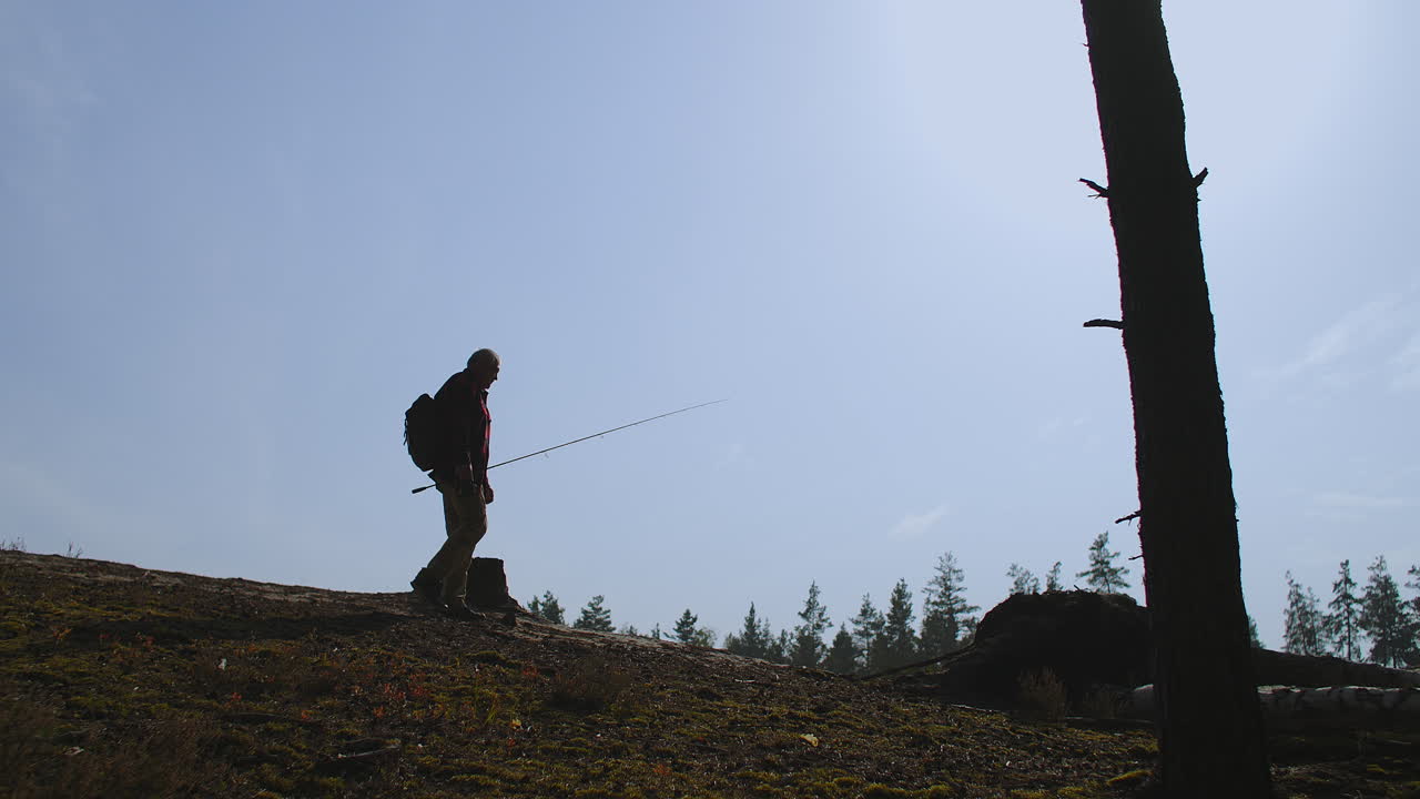 silhouette di un escursionista che cammina con uno zaino e una verga nella foresta contro il cielo blu limpido, la natura e l'uomo