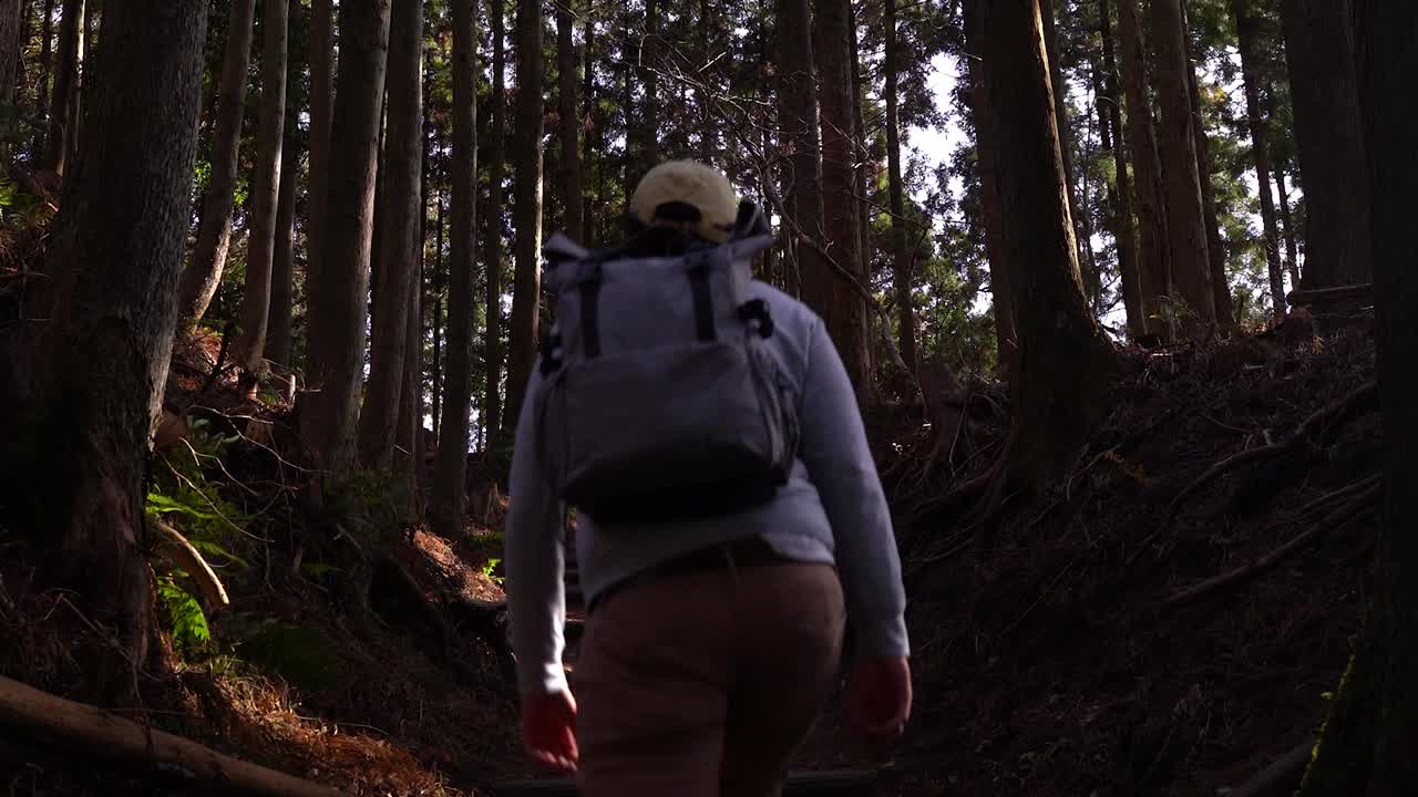 inclinación lenta hacia arriba sobre la parte posterior de la silueta de un excursionista masculino caminando por un hermoso bosque