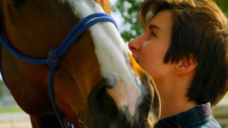 woman stroking horse at stable 4k