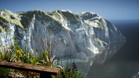 Frisches-Gras-An-Einer-Großen-Felsigen-Klippe-Im-Ozean