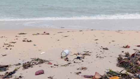 rubbish washed up on a remote beach in far northern australia