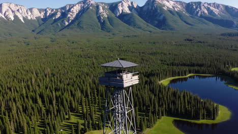 mountain observation tower overlooking forest and lake