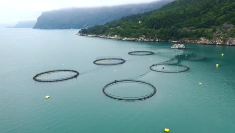 Aerial-footage-Farm-salmon-fishing-in-Norway