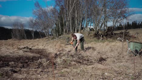 man digging with spade outdoors in indre fosen, norway - wide shot