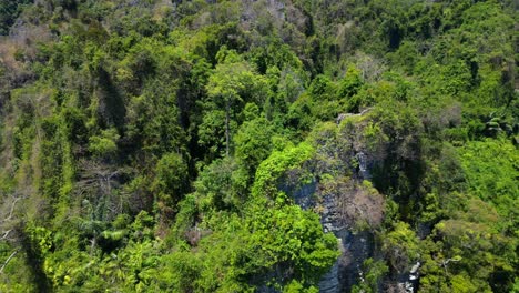 naturaleza intacta tierra inaccesible naturaleza selva montañas