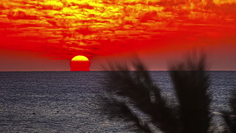 lapso de tiempo de puesta de sol rojo con cielo nublado dramático y palmeras en el mar rojo, hurghada egipto